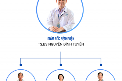 ban giám đốc
